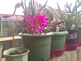 ����080618_1.jpg