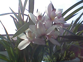 ����080615_12.jpg
