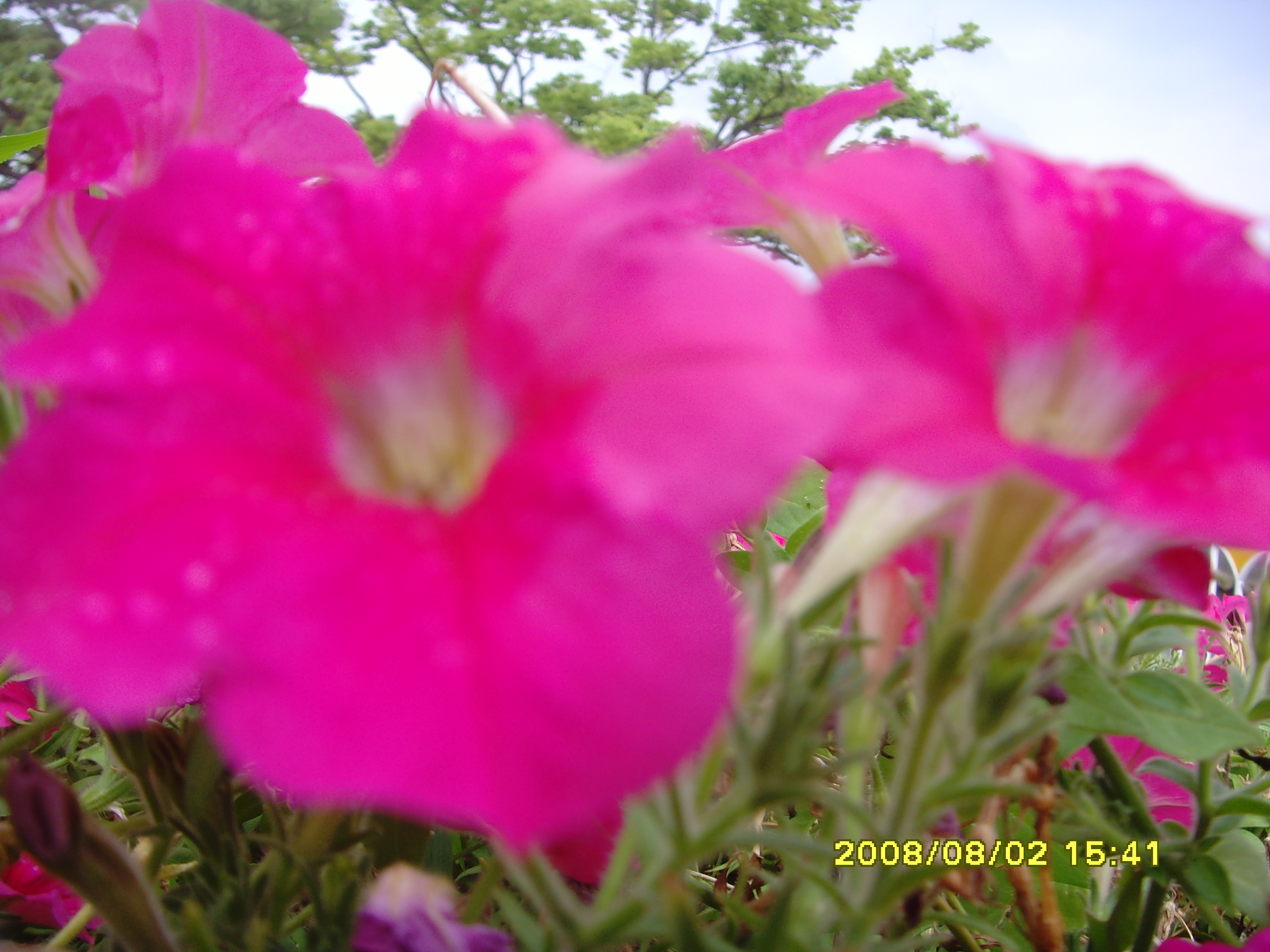 008.JPG