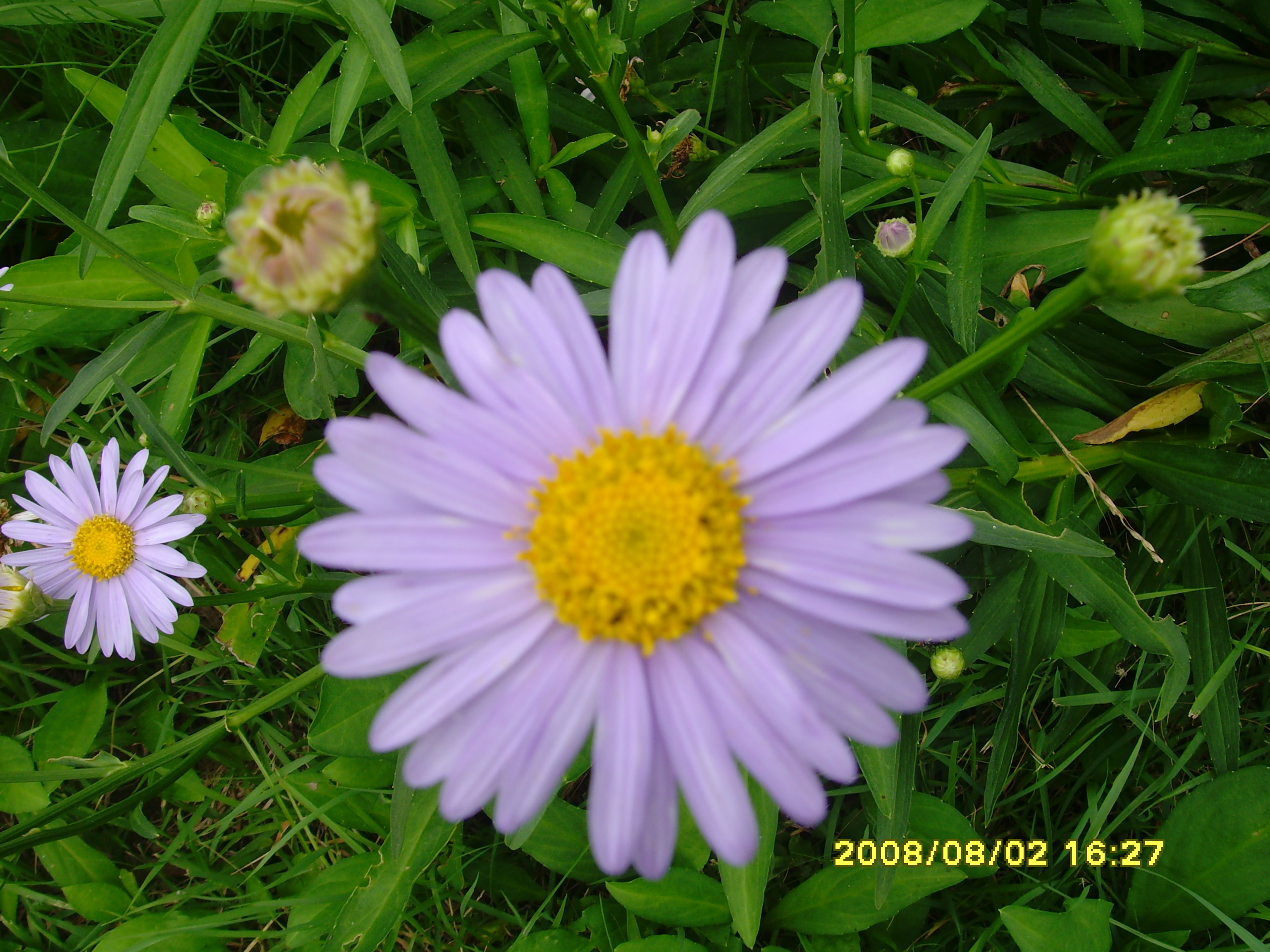 106.JPG