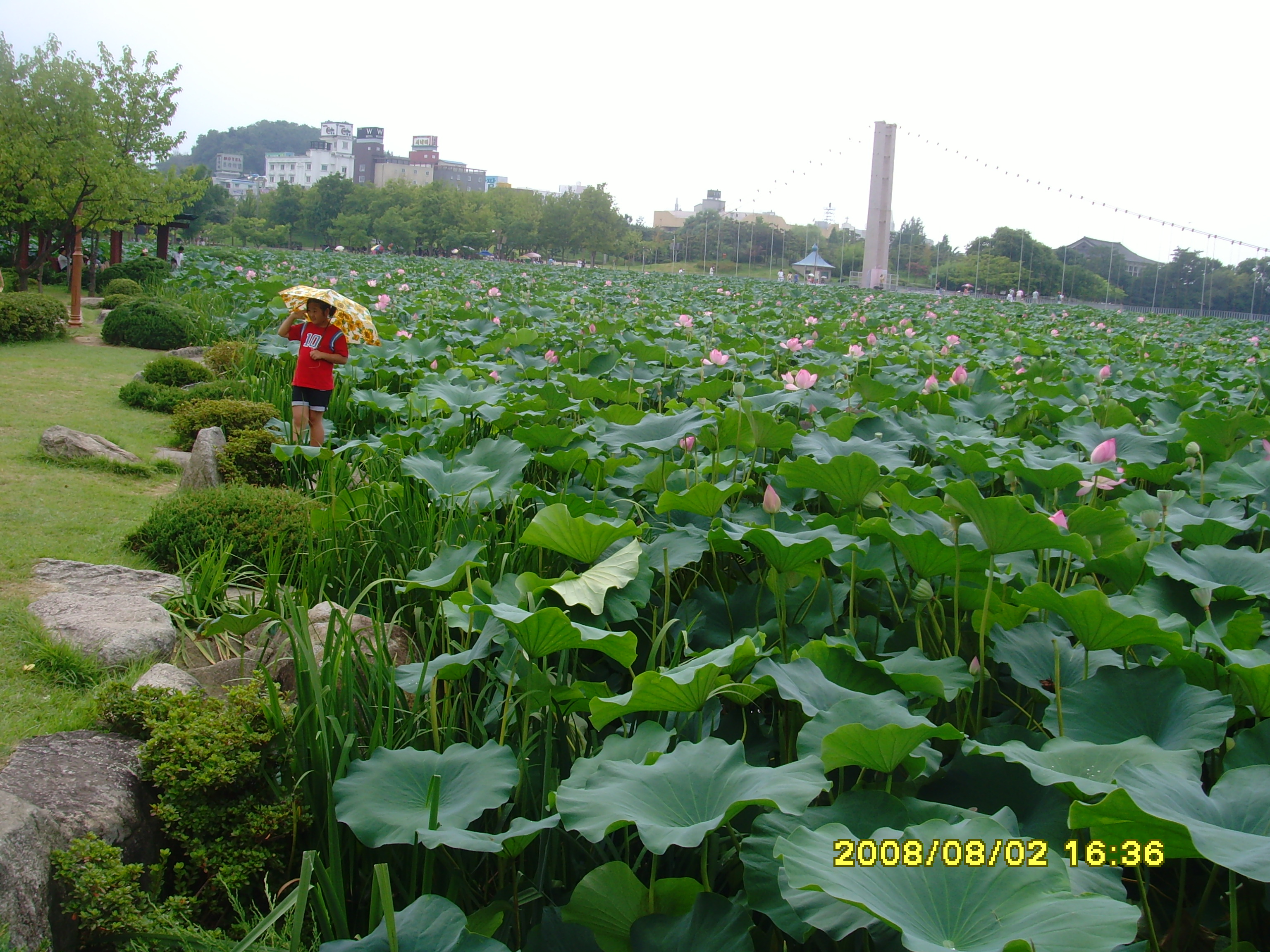 136.JPG
