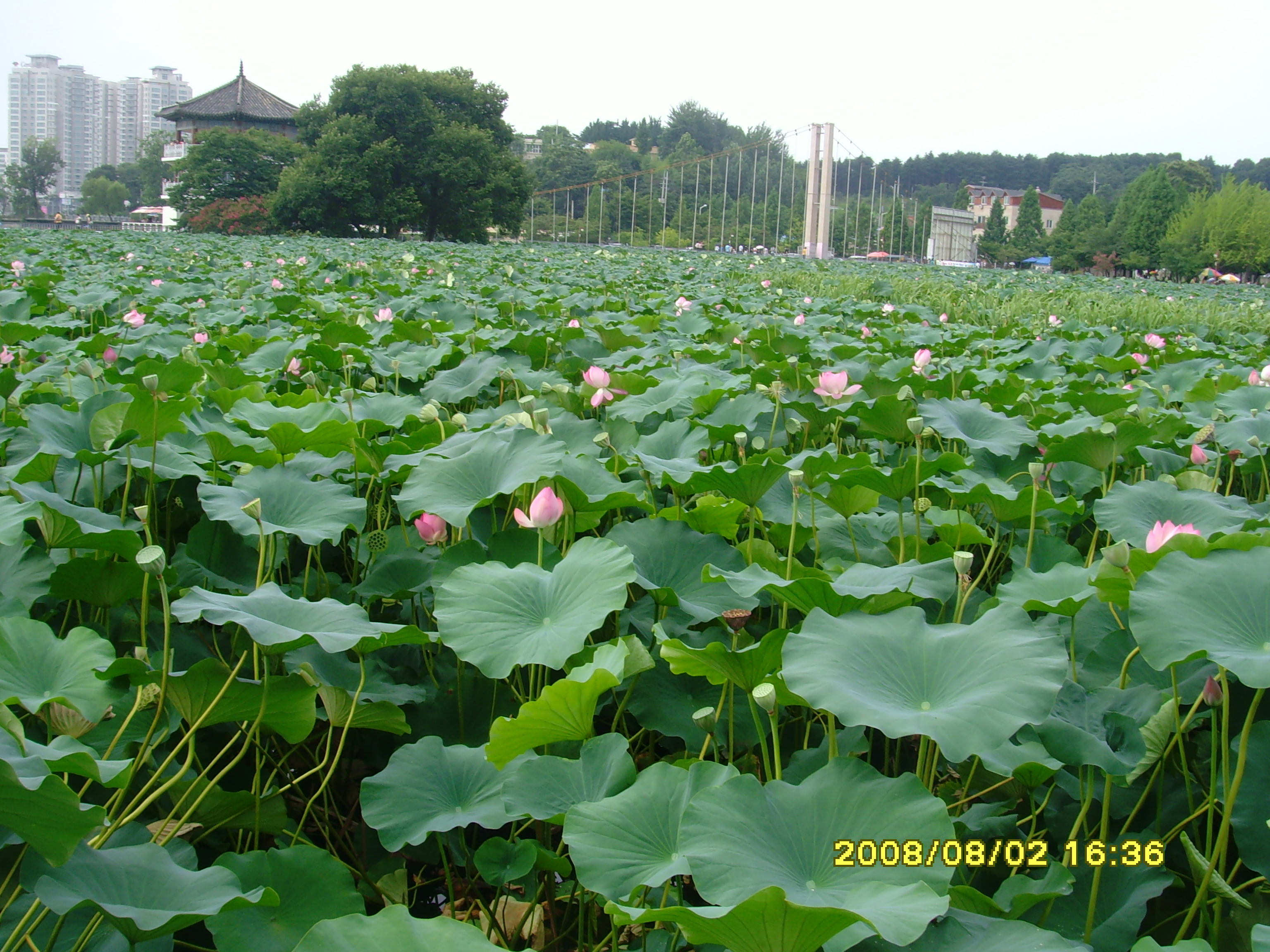138.JPG