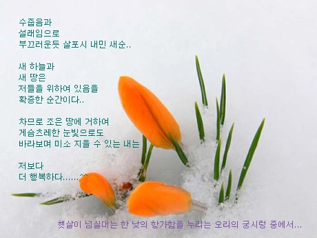 설래임으로.jpg