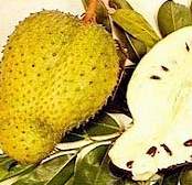 soursop.jpg