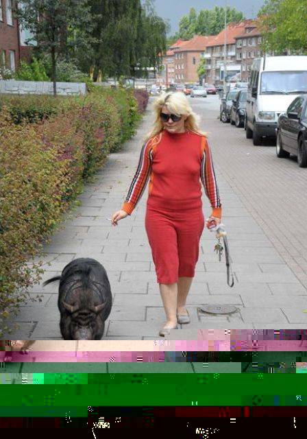 strange-pet-walking03.jpg