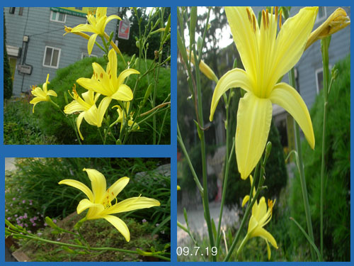 09��7��19�� ���յ� �纻.jpg