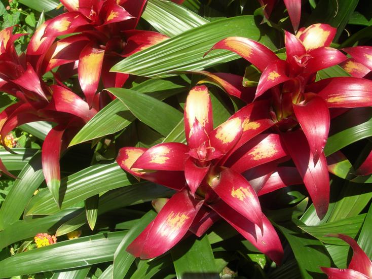 09��8��31�� ü��1.jpg