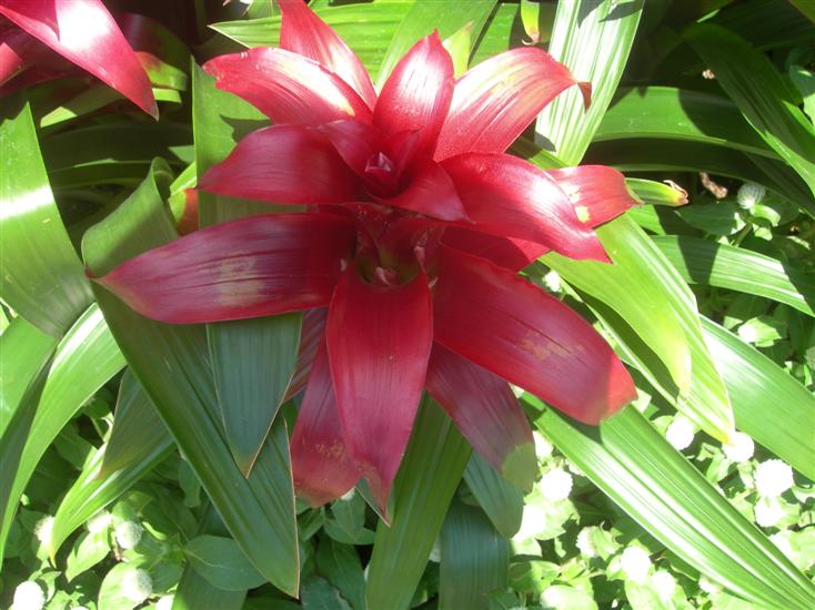 09��8��31�� ü��.jpg