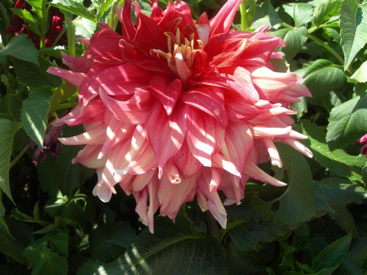 09��9��2�� �پ˸���1.jpg