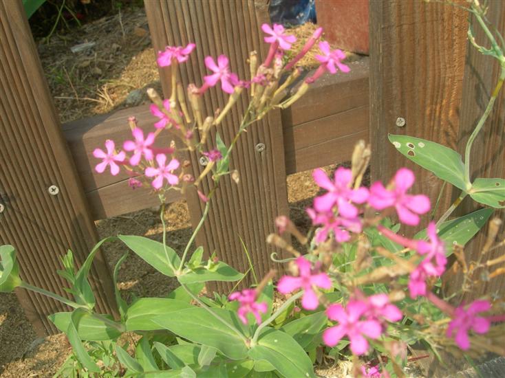 09��10��2�� �����̴볪��.jpg