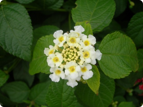 09��10��16�� ��Ÿ�����6.jpg