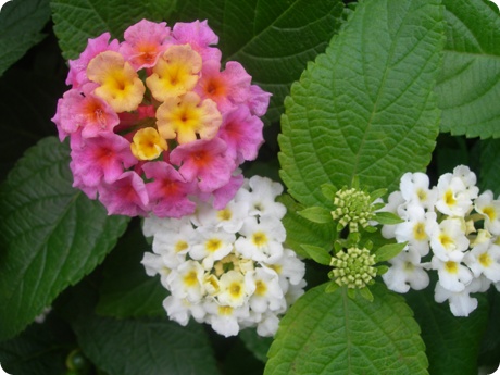 09��10��16�� ��Ÿ�����9.jpg