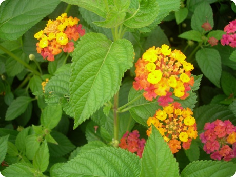 09��10��16�� ��Ÿ�����11.jpg