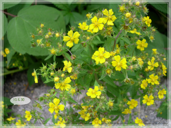 10��6��30�� ��Ȯ��.jpg