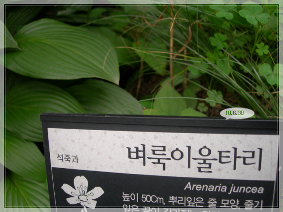 10��6��30�� �����̿�Ÿ��.jpg