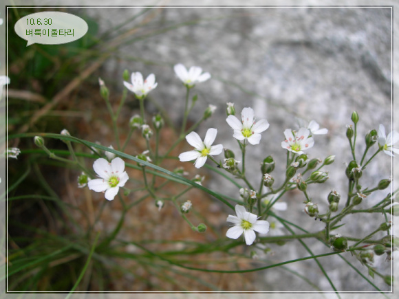 10��6��30�� ����.jpg