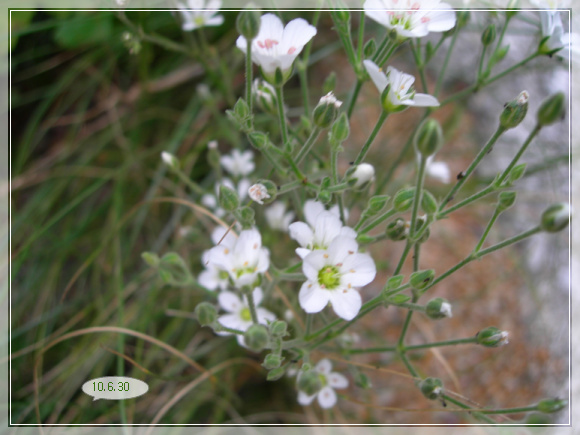 10��6��30�� ����1.jpg