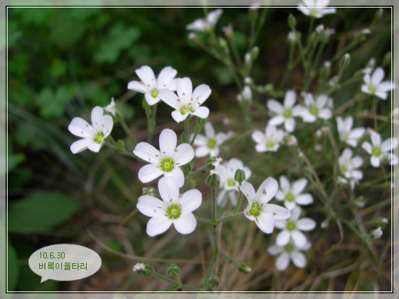 10��6��30�� ����2.jpg