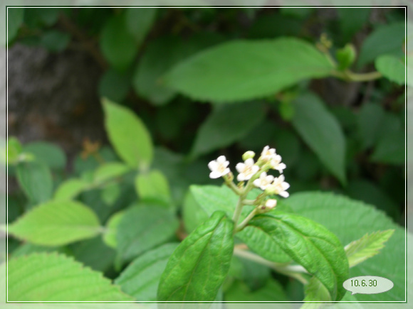 10��6��30�� ����3.jpg