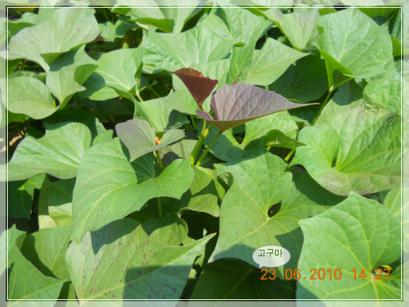 10��6��23�� ������.jpg