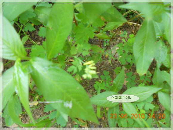 10��6��23�� �ű����ָӴ�.jpg