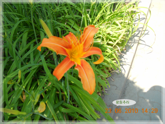 10��6��23�� �տ��߸�.jpg