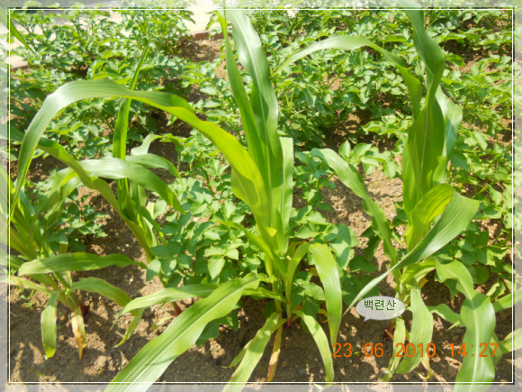 10��6��23�� ȫ��.jpg