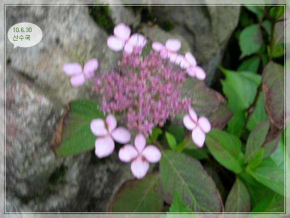 10��6��30�� �����.jpg