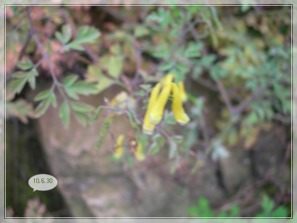 10��6��30�� �ű����ָӴ�.jpg