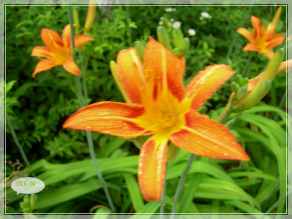 10��6��30�� �տ��߸�.jpg