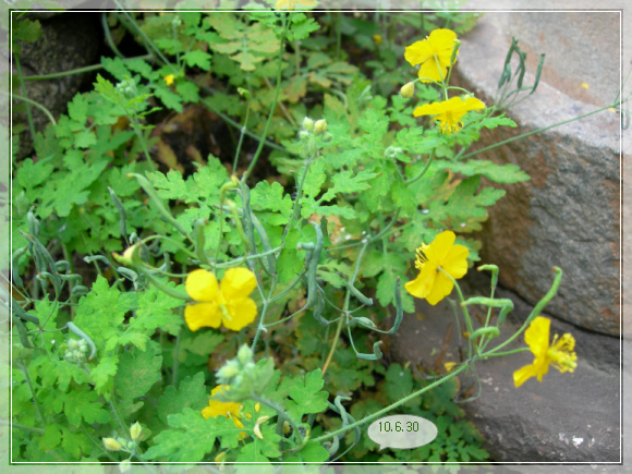 10��6��30�� �ֱ��Ǯ1.jpg