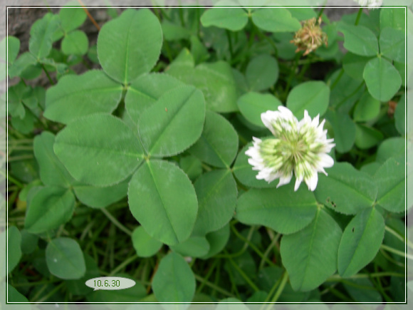 10��6��30�� �峢Ǯ.jpg