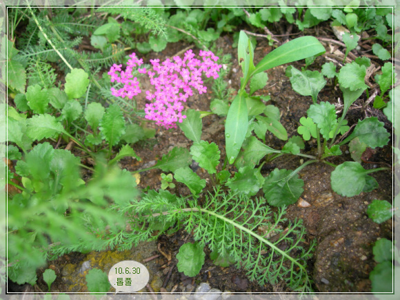 10��6��30�� ��Ǯ.jpg