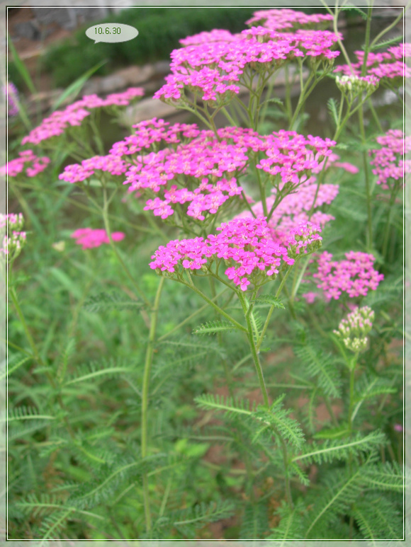 10��6��30�� ��Ǯ1.jpg