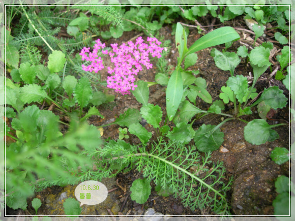 10��6��30�� ��Ǯ7.jpg