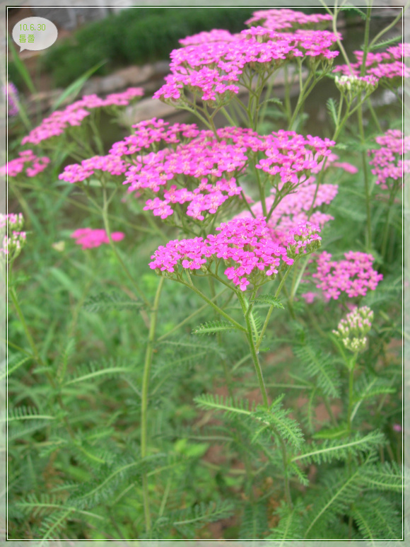 10��6��30�� ��Ǯ8.jpg