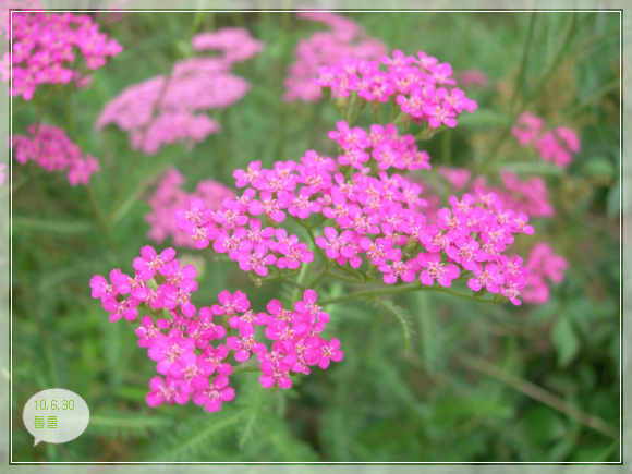 10��6��30�� ��Ǯ9.jpg