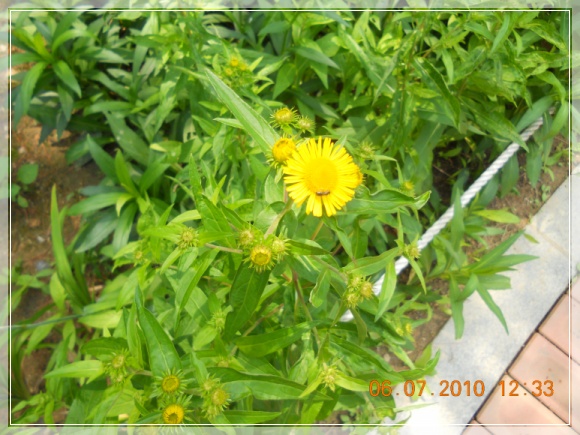 10��7��8�� �ݺ���1.jpg