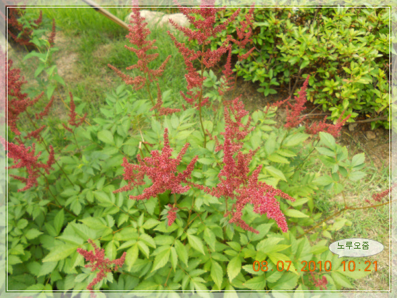 10��7��8�� ������1.jpg