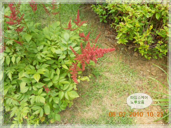 10��7��8�� ������.jpg