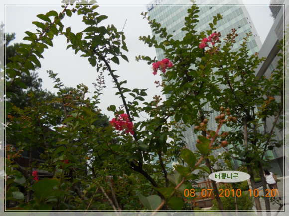 10��7��8�� ��ճ���1.jpg