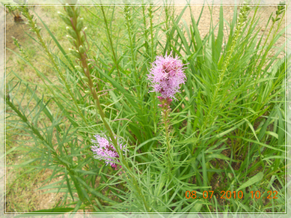 10��7��8�� ��Ʈ�ӽ�.jpg