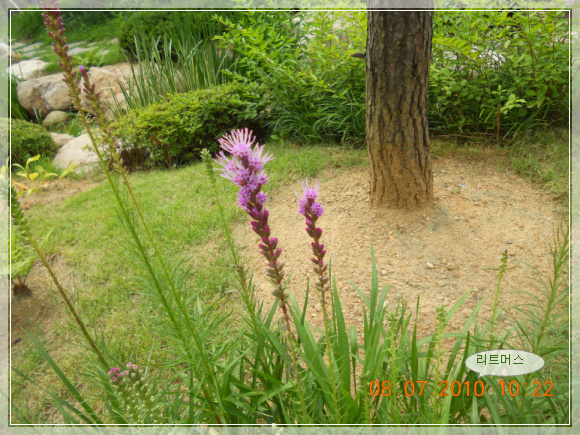 10��7��8�� ��Ʈ�ӽ�1.jpg