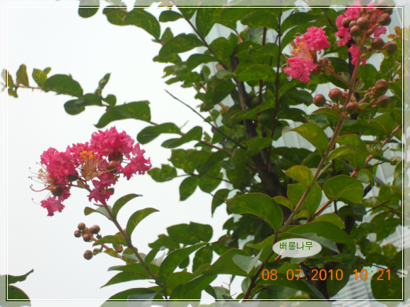 10��7��8�� ��ճ���.jpg