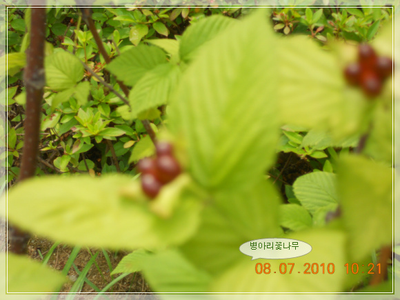 10��7��8�� ���Ƹ��ɳ���1.jpg