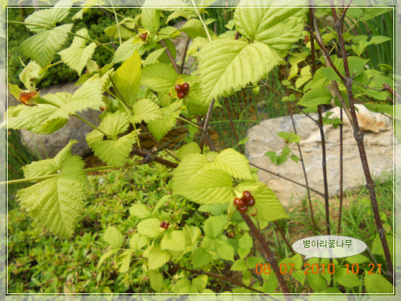 10��7��8�� ���Ƹ��ɳ���.jpg