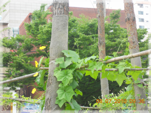 10��7��8�� ������.jpg