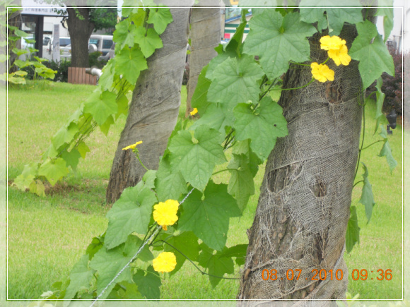 10��7��8�� ������1.jpg