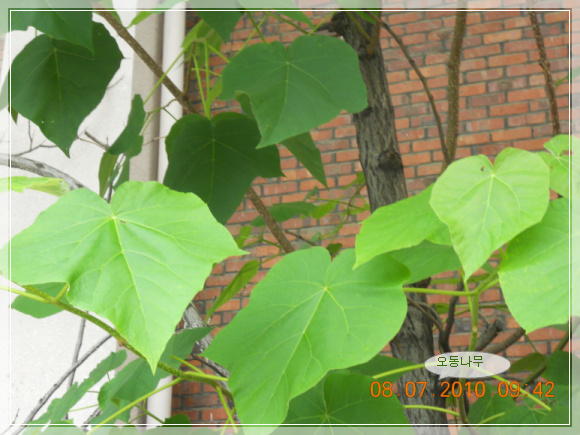 10��7��8�� ��������.jpg