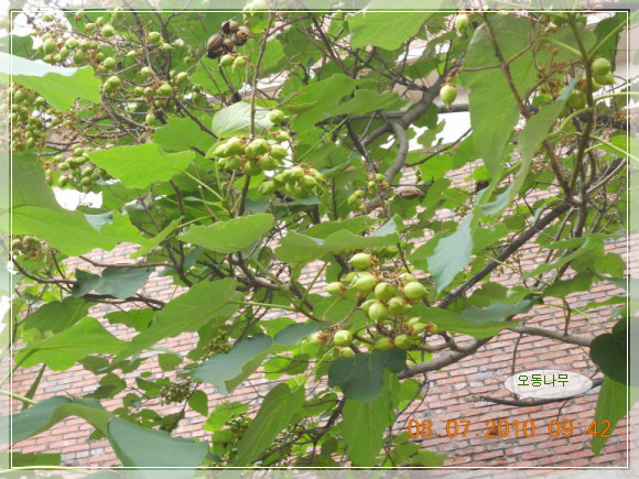 10��7��8�� ��������1.jpg